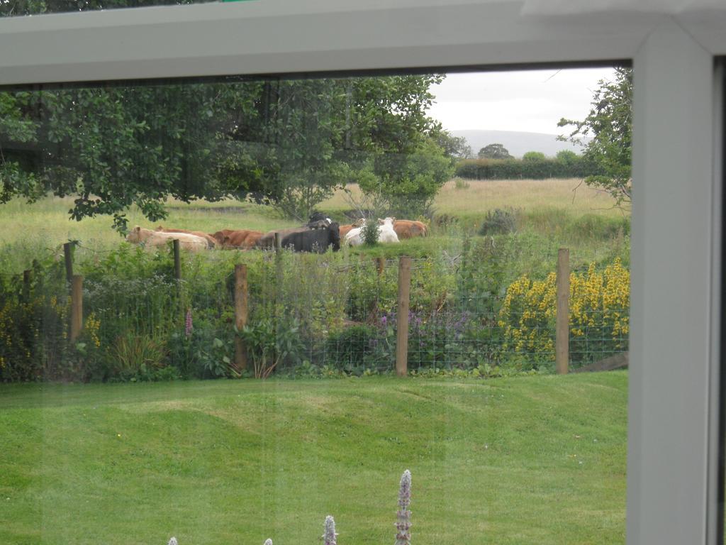 Troutbeck Cottage Carlisle  Phòng bức ảnh